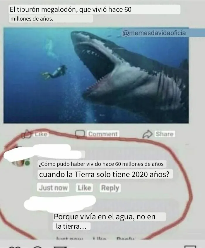 20 Personas que se lo pensarán 2 veces antes de volver a intentar corregir a alguien