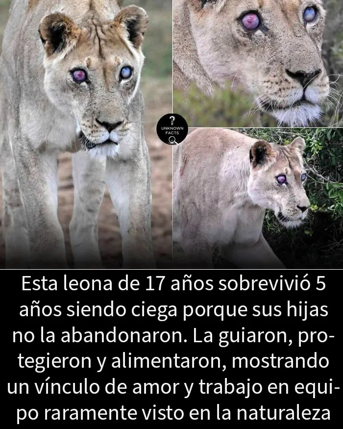 16 Datos e historias interesantes para tener algo nuevo que aprender sobre el mundo
