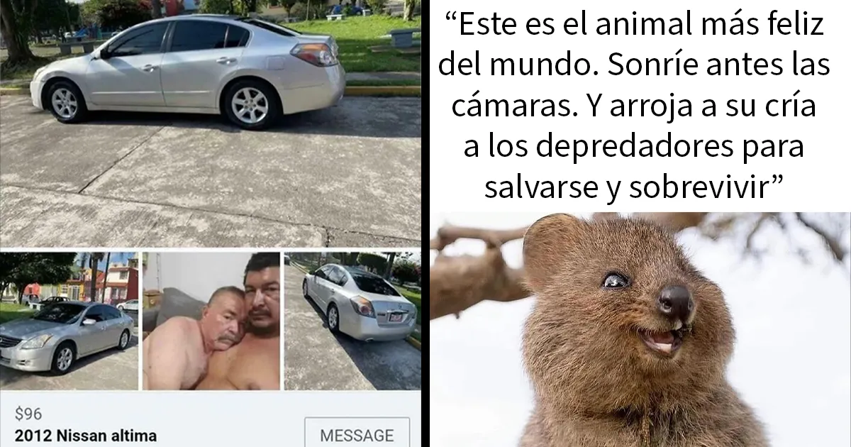 21 Publicaciones que parecían normales hasta que tuvieron un giro inesperado