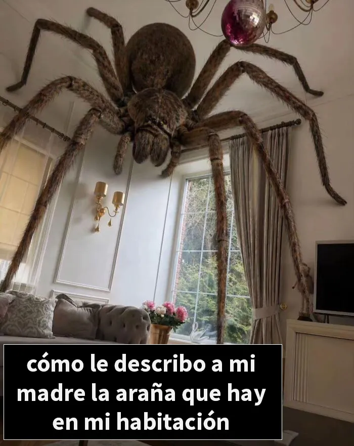 20 Imágenes dolorosas que te quitarán las ganas de seguir mirando internet por hoy