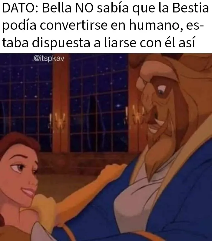20 Memes tan divertidos que te harán cuestionarte tu cordura