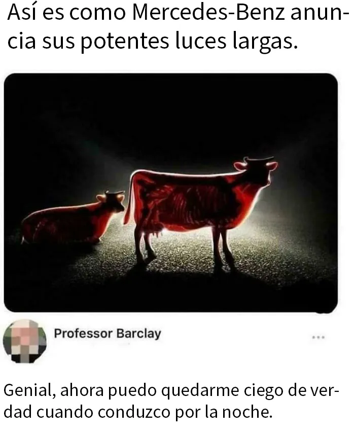 20 Memes tan divertidos que te harán cuestionarte tu cordura