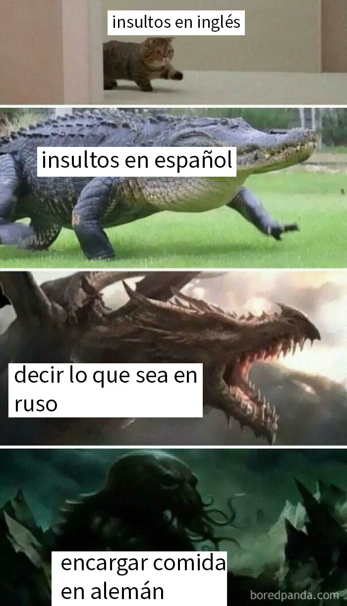 20 Memes tan divertidos que te harán cuestionarte tu cordura