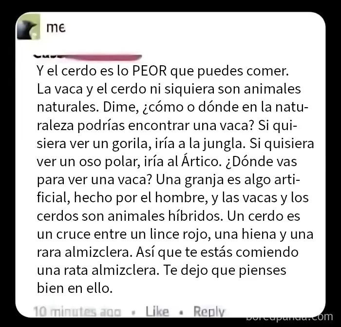 Que nadie le hable de los jabalíes salvajes
