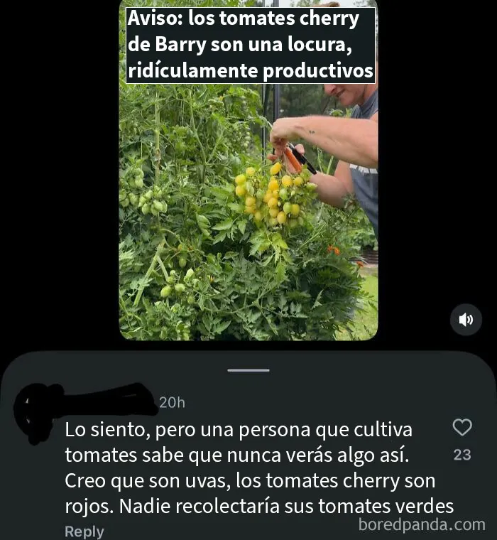 No sabe nada de jardinería