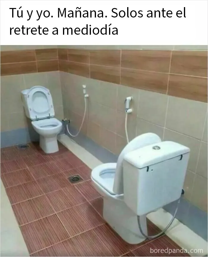 20 Memes raros pero divertidos para que pases un buen rato