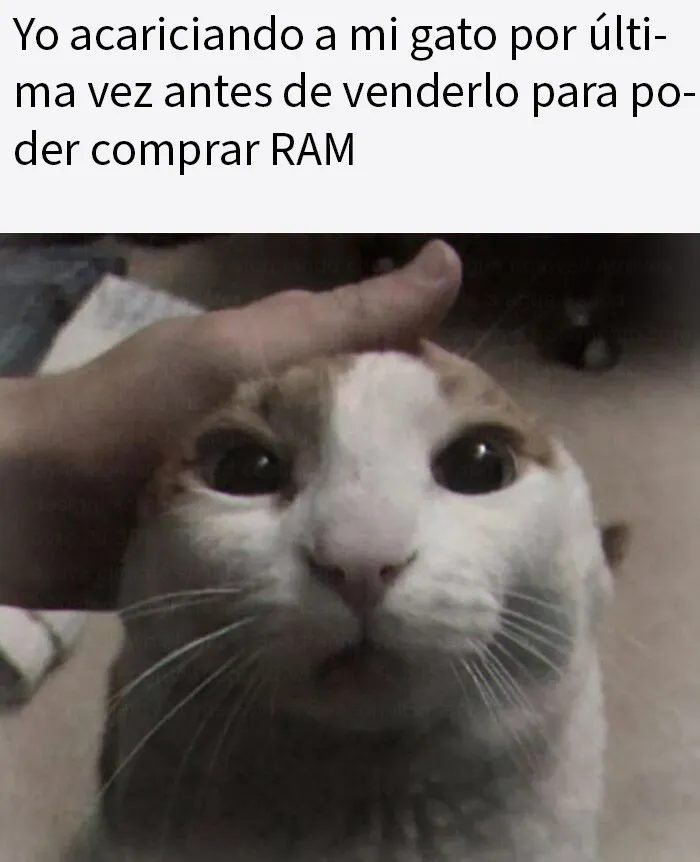 20 Memes raros pero divertidos para que pases un buen rato