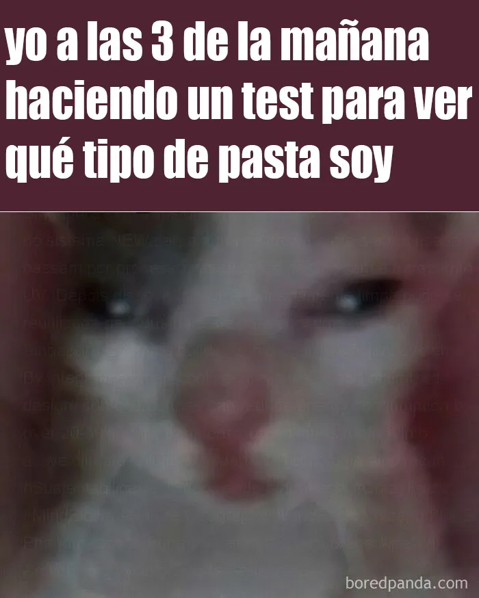 20 Memes raros pero divertidos para que pases un buen rato