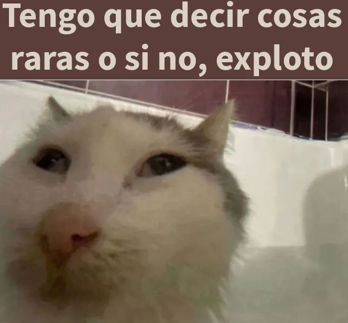 20 Memes raros pero divertidos para que pases un buen rato