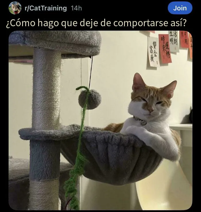 20 Publicaciones muy tontas compartidas en Reddit