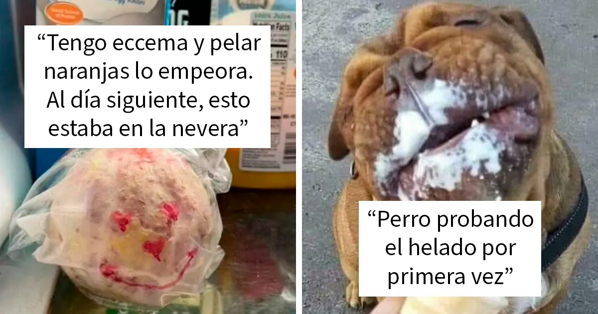 21 Imágenes reconfortantes para alegrarte un poco el día