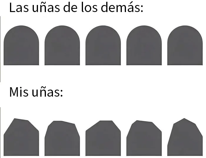 20 Memes divertidos y aleatorios que probablemente no hayas visto antes