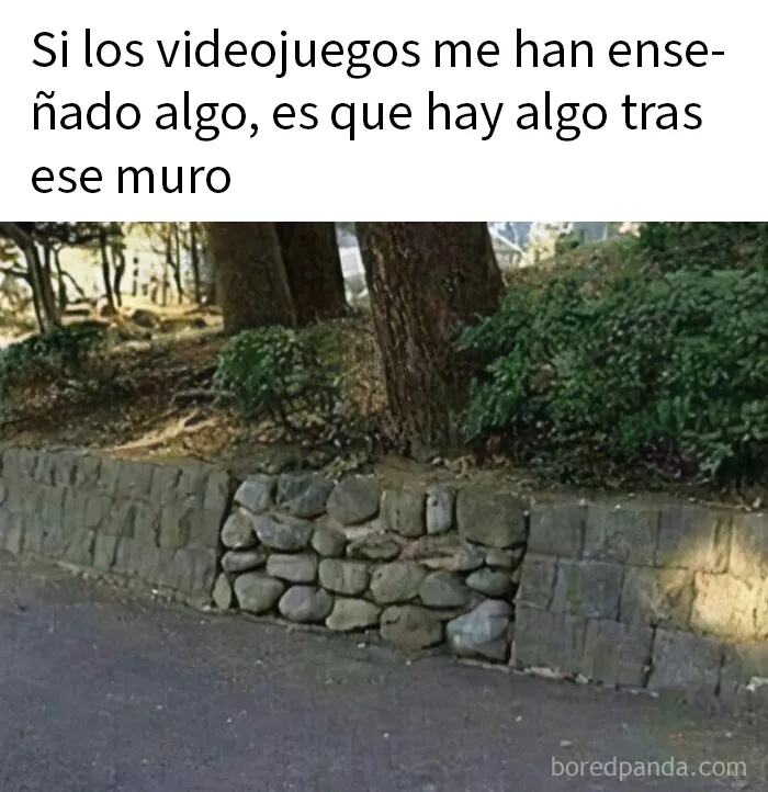 20 Memes divertidos y aleatorios que probablemente no hayas visto antes