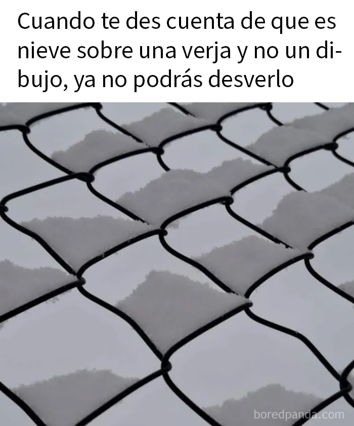 20 Memes divertidos y aleatorios que probablemente no hayas visto antes