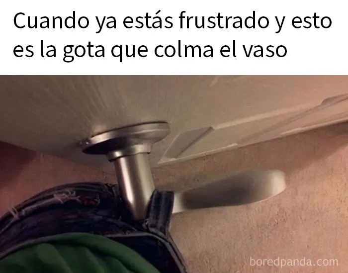 20 Memes divertidos y aleatorios que probablemente no hayas visto antes