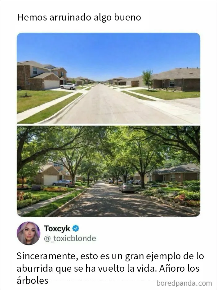 20 Memes divertidos y aleatorios que probablemente no hayas visto antes