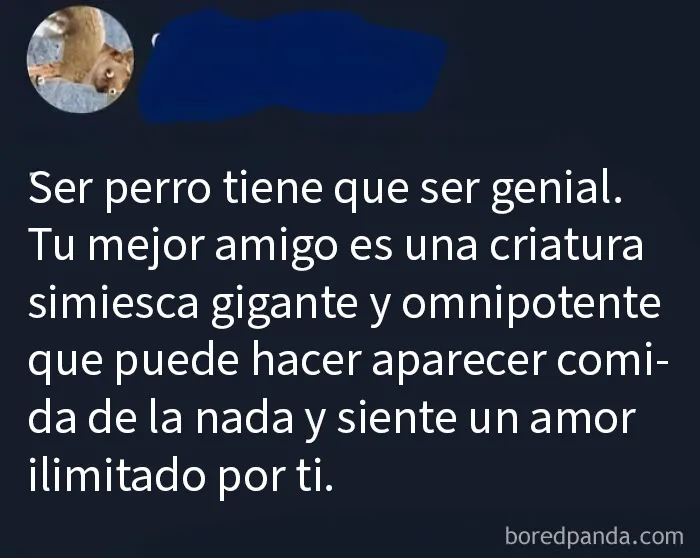 20 Memes divertidos y aleatorios que probablemente no hayas visto antes