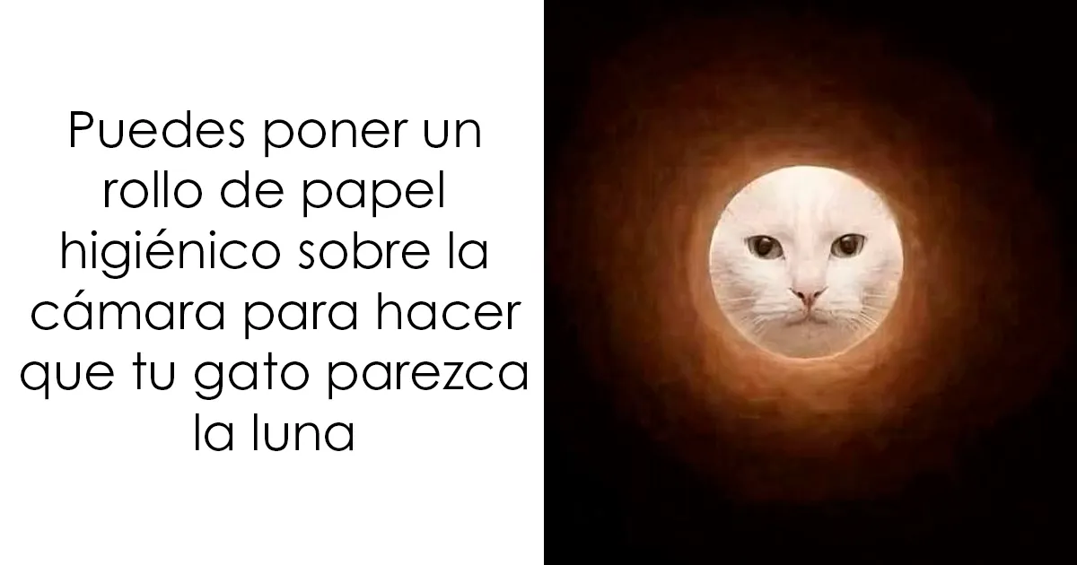 20 Memes divertidos y aleatorios que probablemente no hayas visto antes