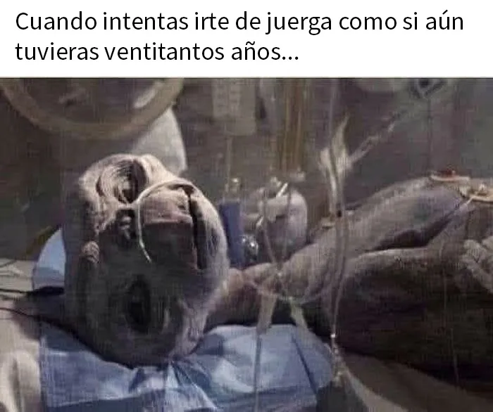 20 Memes sobre la Generación X para prepararte ante la crisis de la mediana edad