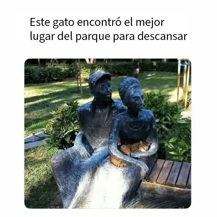 20 Divertidos memes de animales para alegrarte el día
