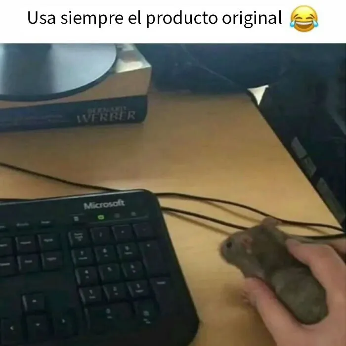 20 Divertidos memes de animales para alegrarte el día