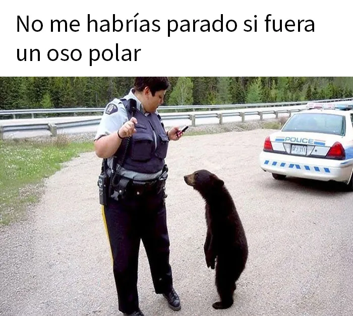 22 Memes que parecen haber sido creados durante un sueño febril
