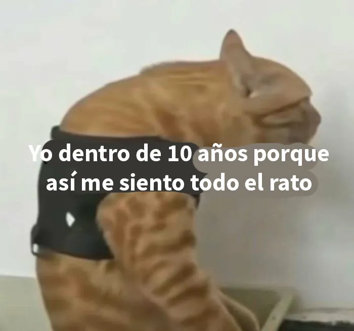 22 Memes que parecen haber sido creados durante un sueño febril