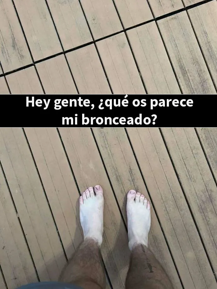 22 Memes que parecen haber sido creados durante un sueño febril