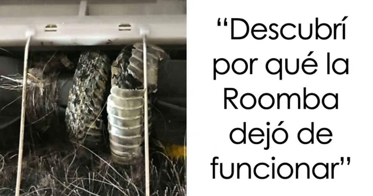 32 Cosas interesantes y curiosas que hubo que fotografiar para que los demás las creyeran
