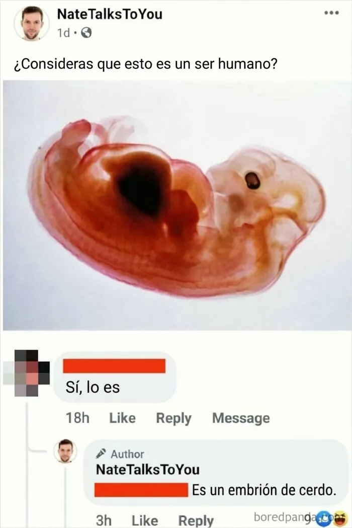 ¿Ser humano?