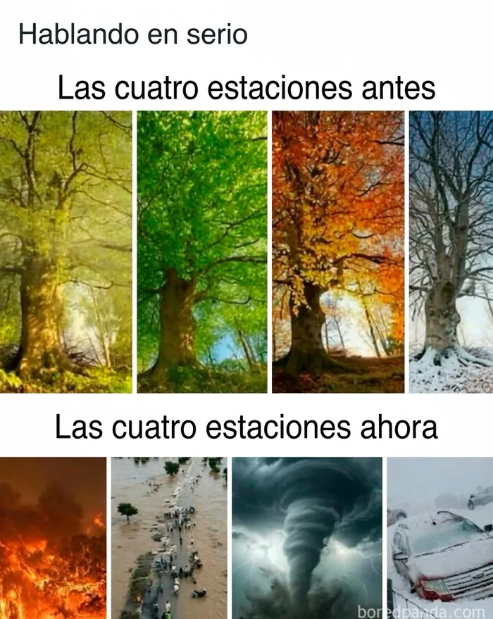 37 Memes sarcásticos que te hacen llorar por dentro y reír por fuera