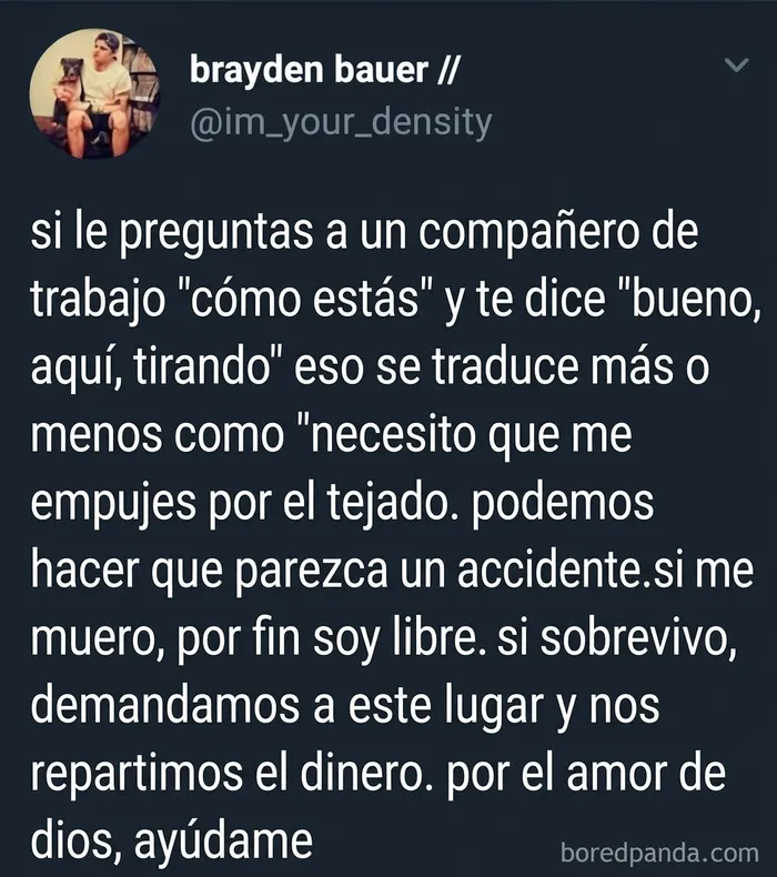 34 Comentarios extrañamente específicos que es imposible que se los hayan inventado