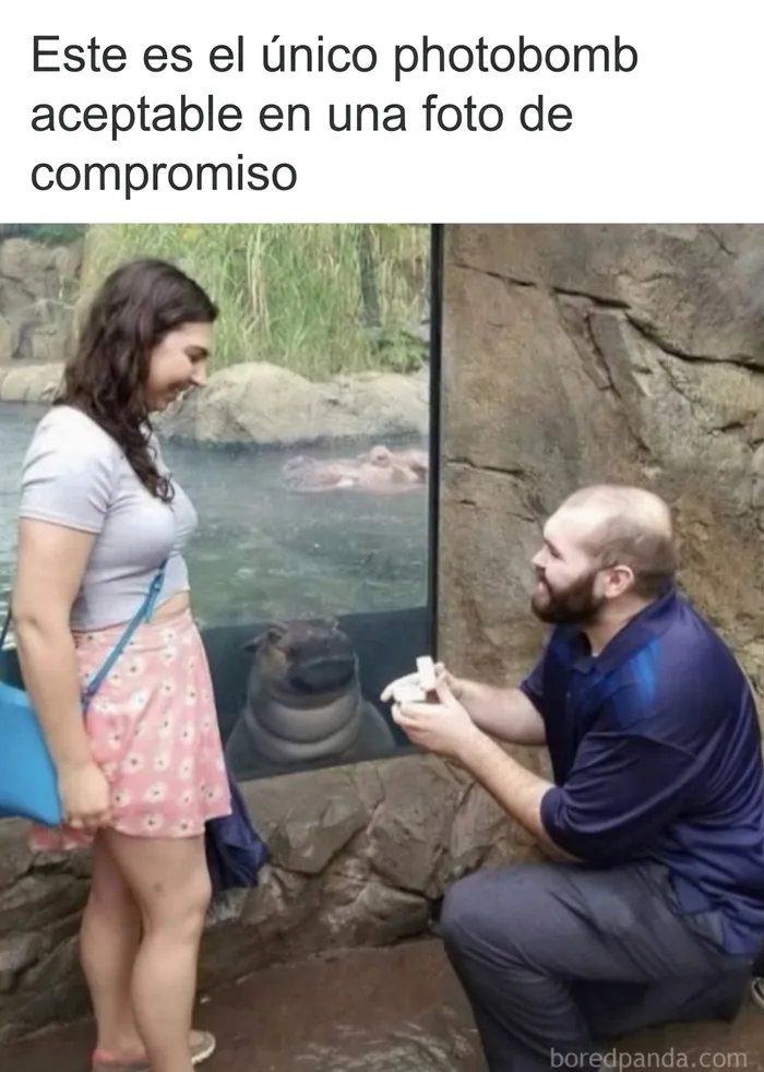 28 Divertidos memes que quizá te resulten familiares