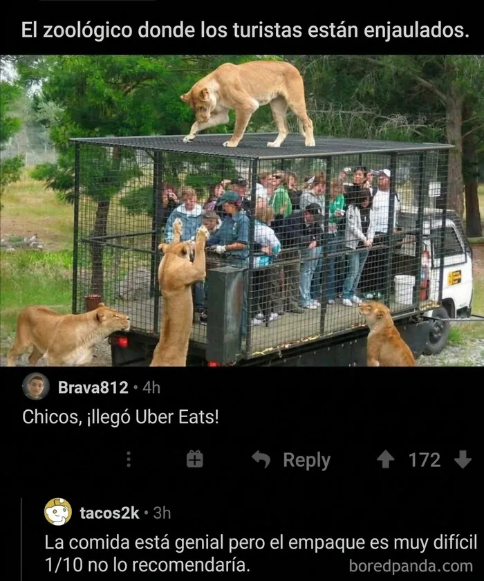 34 Comentarios tan buenos que nadie recuerda la publicación original