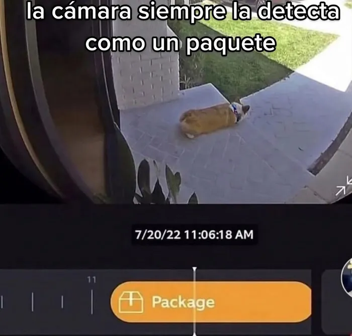 28 Divertidos memes que quizá te resulten familiares