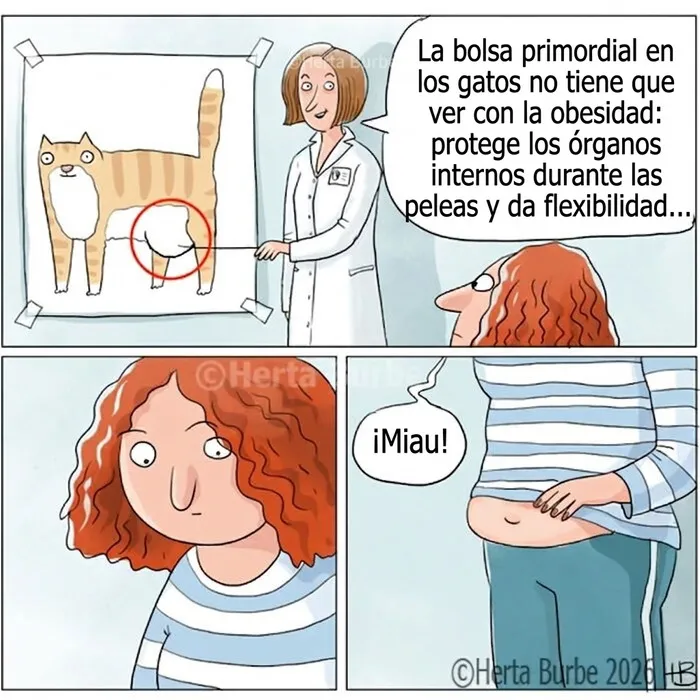 32 Hermosos cómics sobre gatos que muestran por qué los humanos se sienten tan conectados a ellos