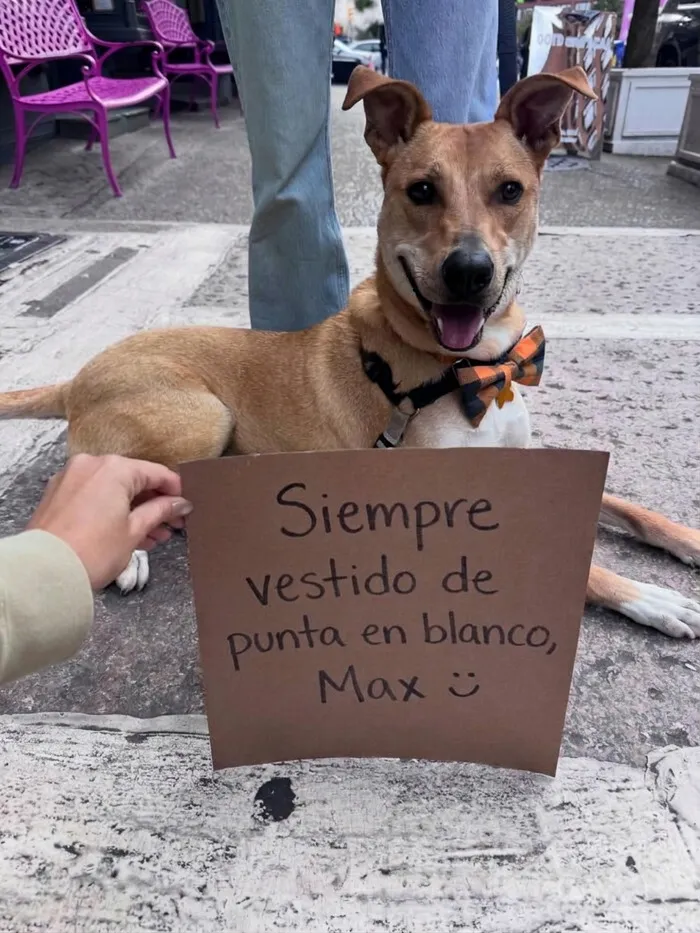 Max