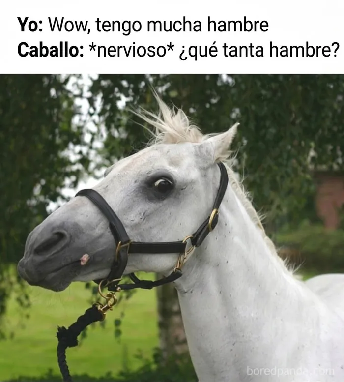 35 Memes divertidos sobre la agotadora realidad de la vida diaria