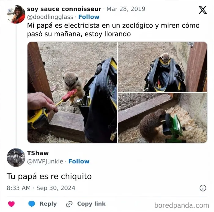 34 Comentarios tan buenos que nadie recuerda la publicación original