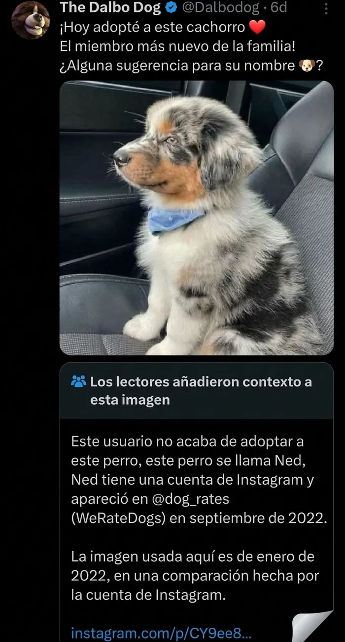 Buen trabajo