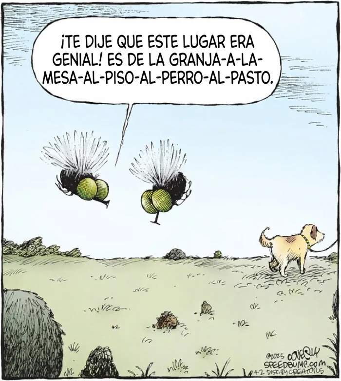 20 Cómics divertidos sobre perros mostrando que la vida con ellos nunca es aburrida
