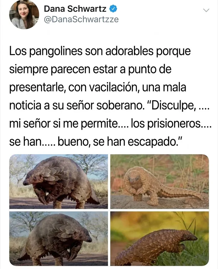 34 Comentarios extrañamente específicos que es imposible que se los hayan inventado