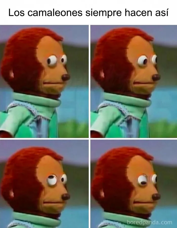 35 Memes divertidos sobre la agotadora realidad de la vida diaria