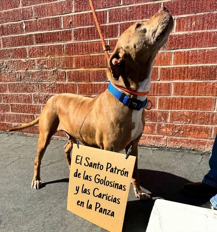 La Santa