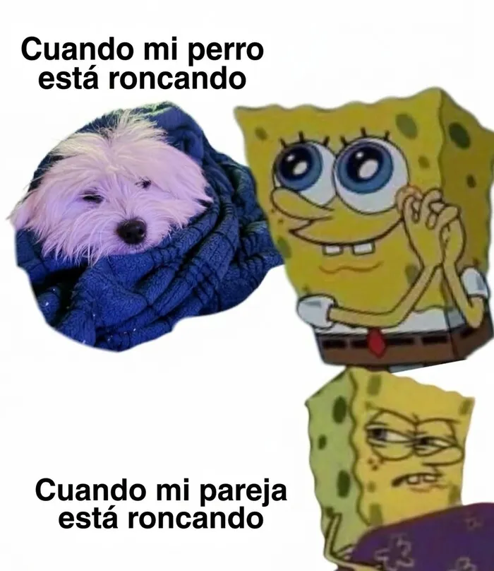 28 Divertidos memes que quizá te resulten familiares