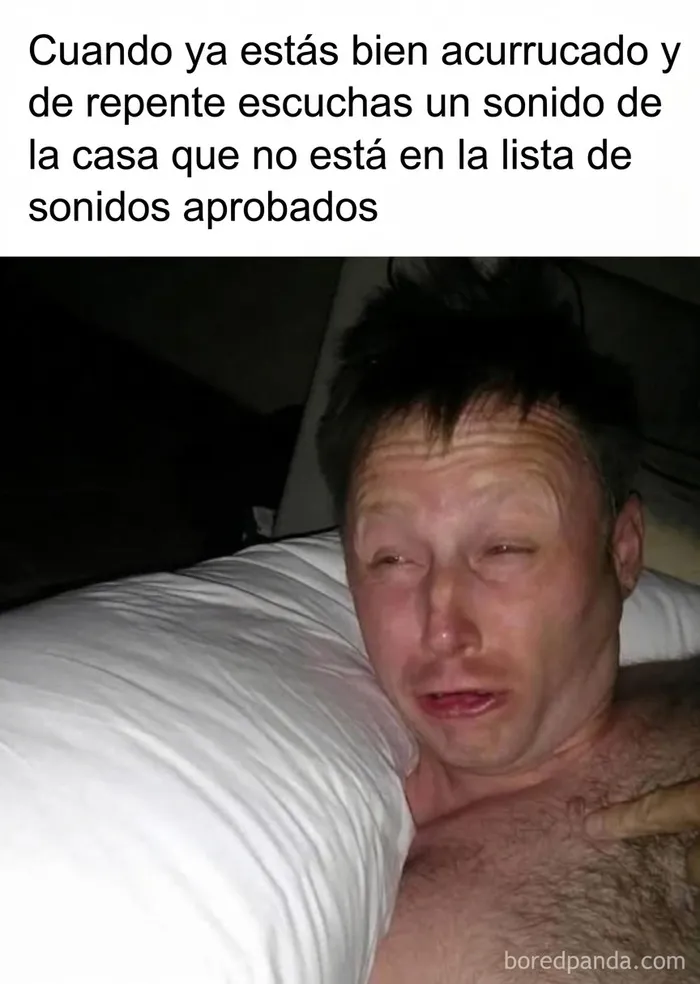 35 Memes divertidos sobre la agotadora realidad de la vida diaria