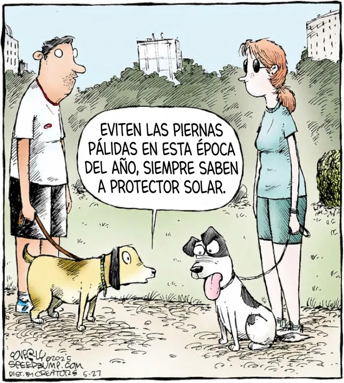 20 Cómics divertidos sobre perros mostrando que la vida con ellos nunca es aburrida