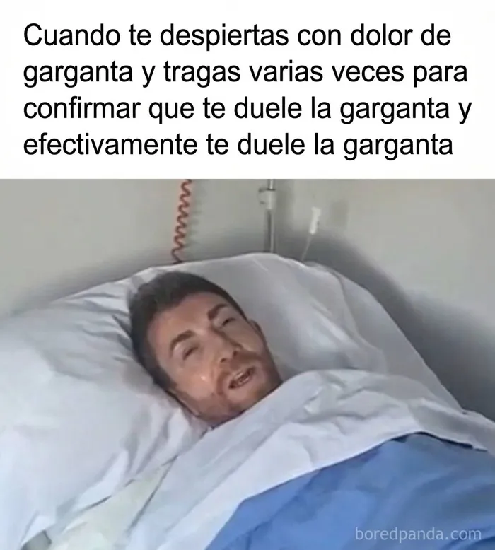 35 Memes divertidos sobre la agotadora realidad de la vida diaria