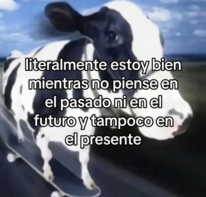 35 Memes divertidos sobre la agotadora realidad de la vida diaria