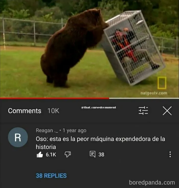 34 Comentarios tan buenos que nadie recuerda la publicación original